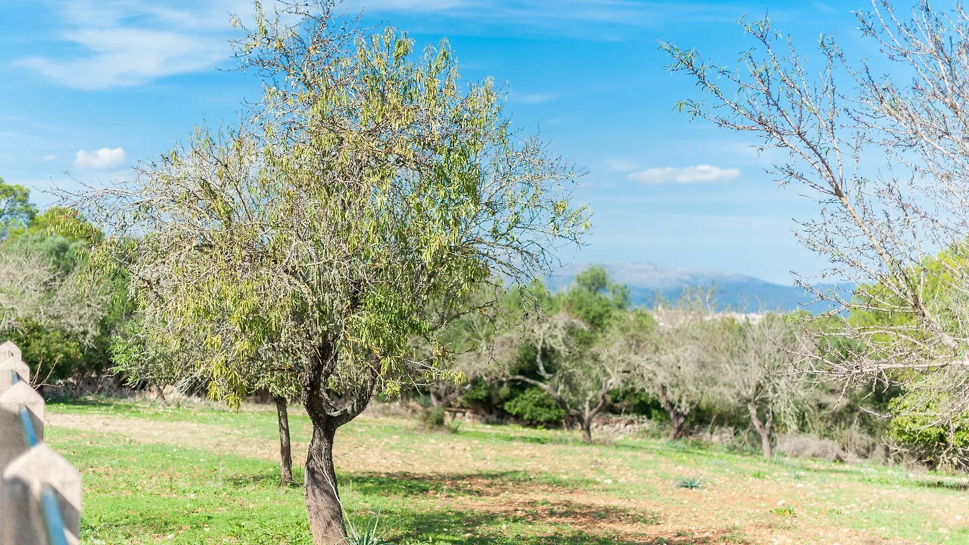 Son Tord Hotel Llubi